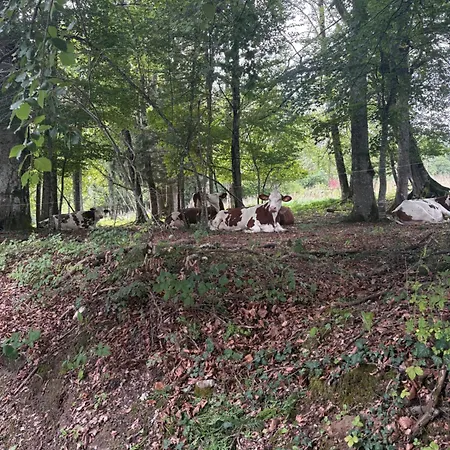 La A L'oree Des Bornes Evires