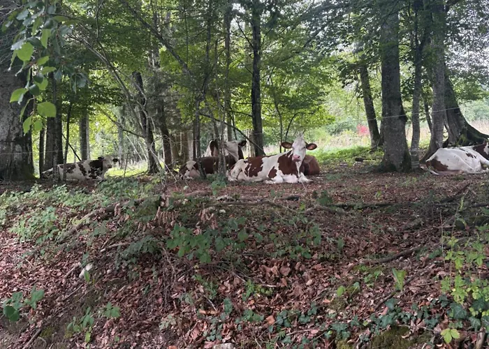 La A L'oree Des Bornes Évires
